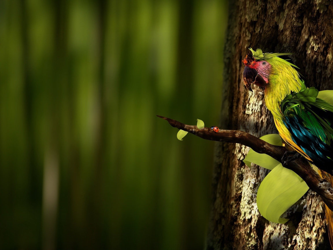 Попугай на ветке