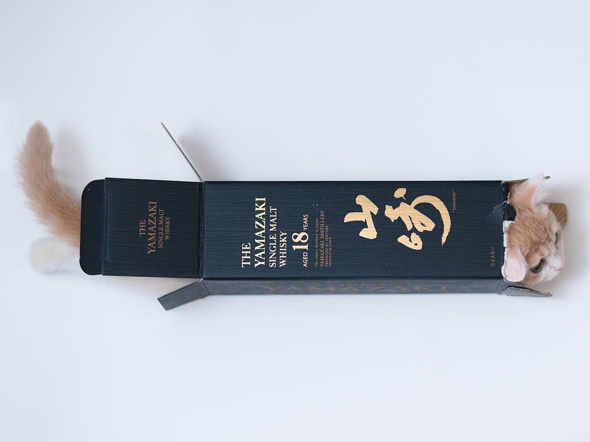 Котенок залез в коробку