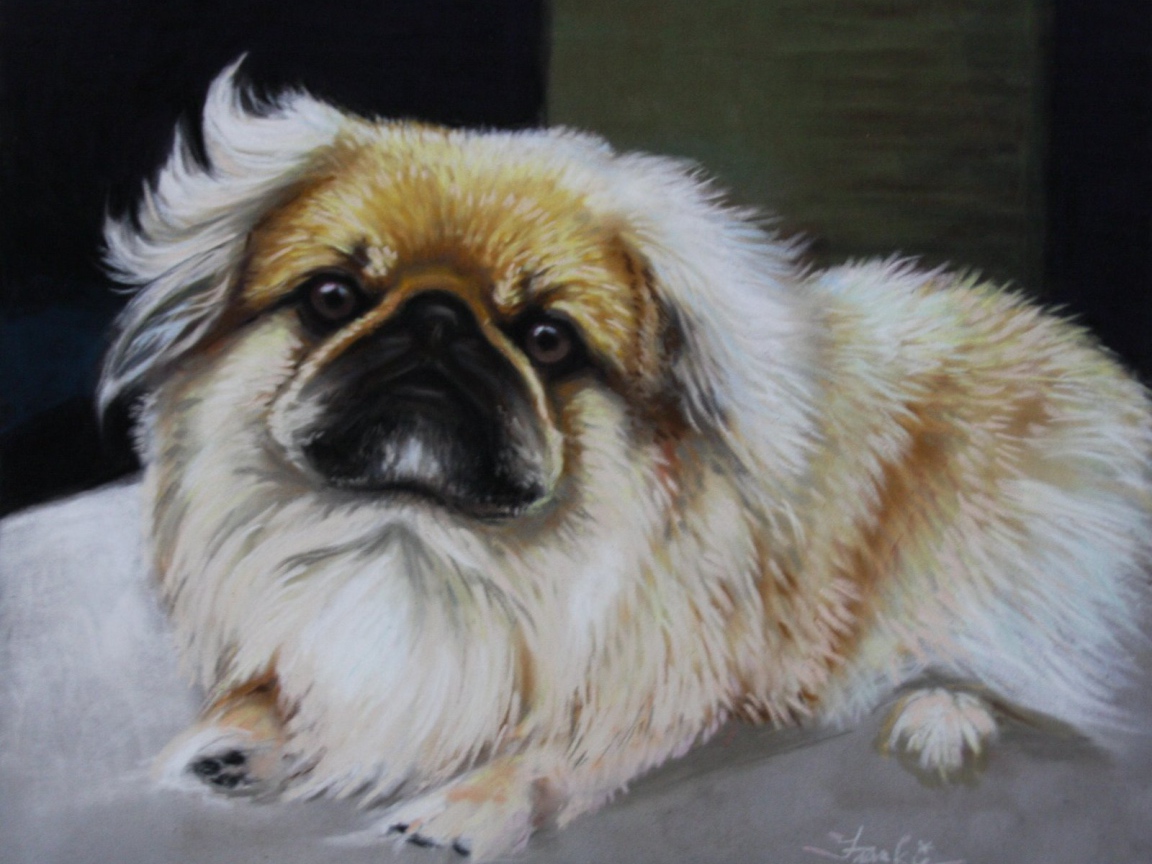 Пекинес на картине