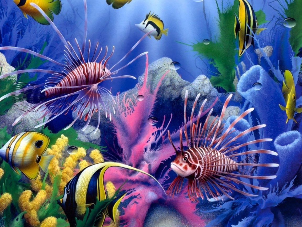 Красота подводной жизни