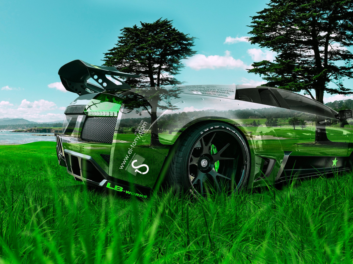 Lamborghini Murcielago в траве