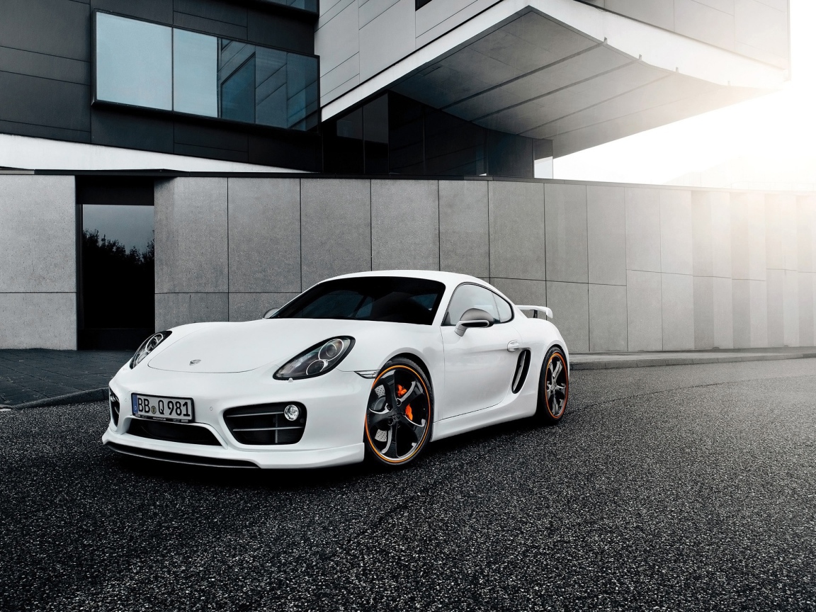 Techart Porsche Cayman 2014 год