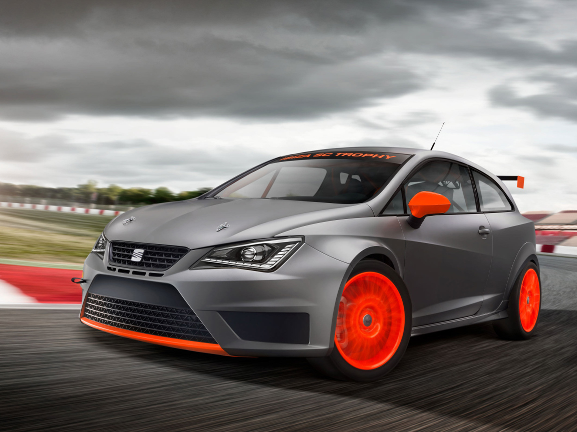  Надежная машина Seat Ibiza