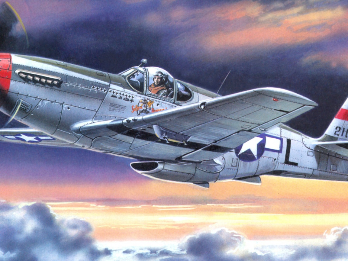 Воздушный боец