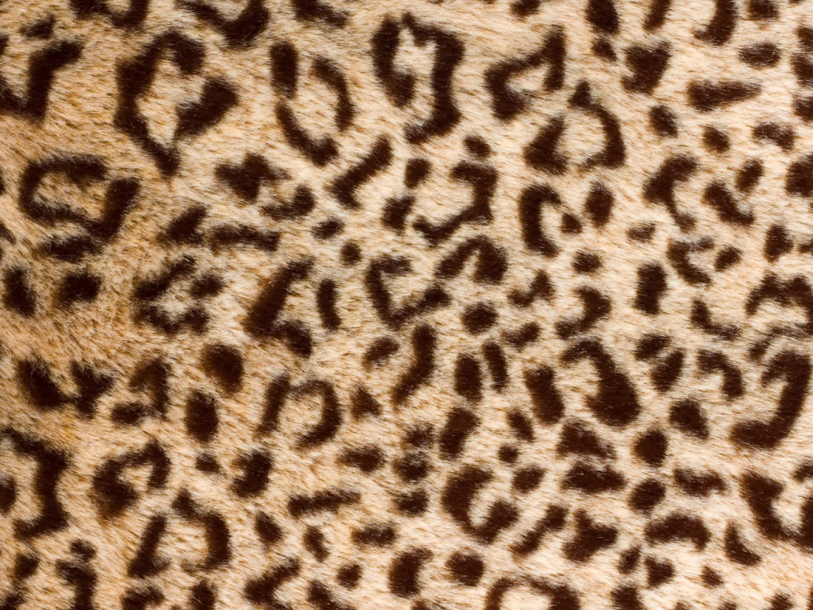 Банальный леопард