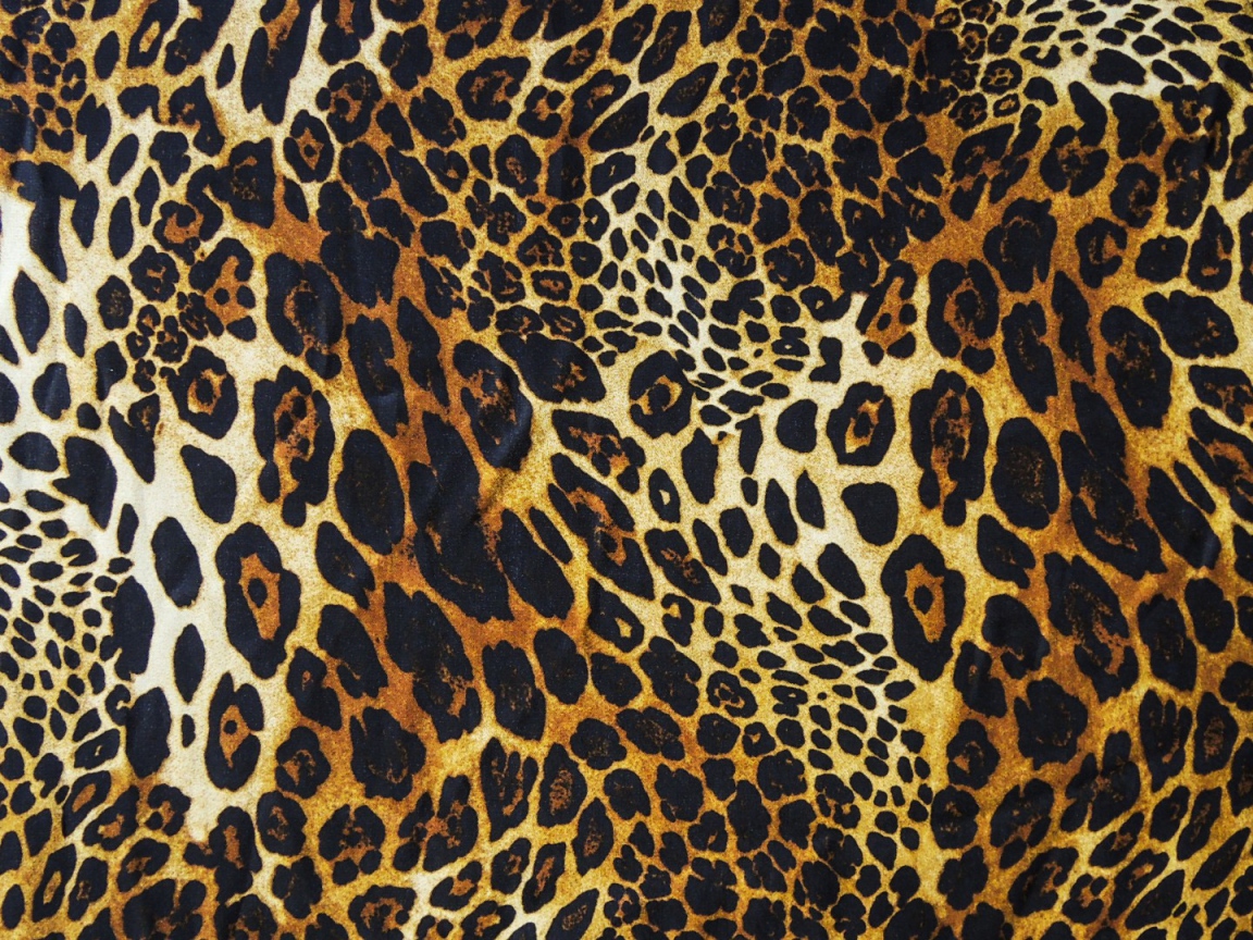 Яяркий леопард