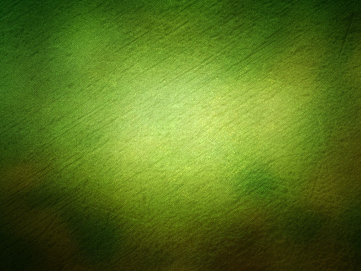 Зелёная гладь