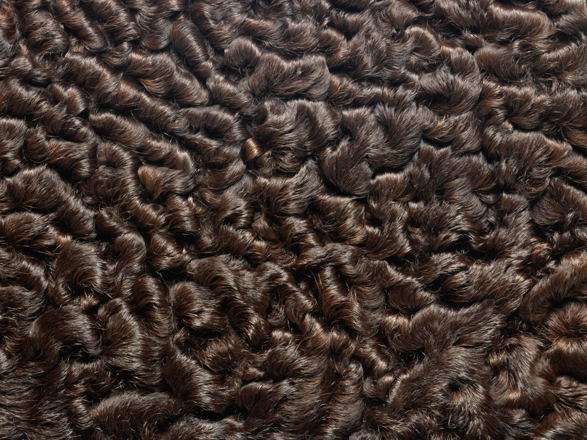 Мех каракуль