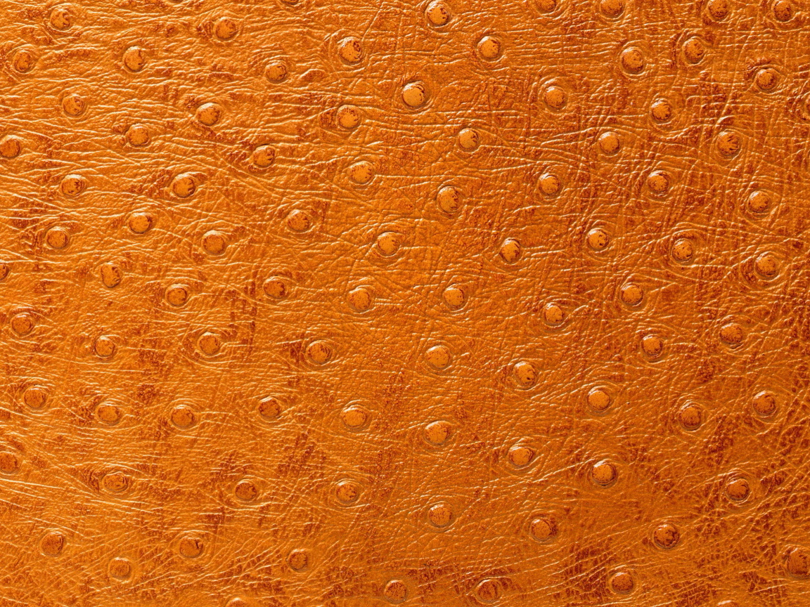 Кожа особой выделки