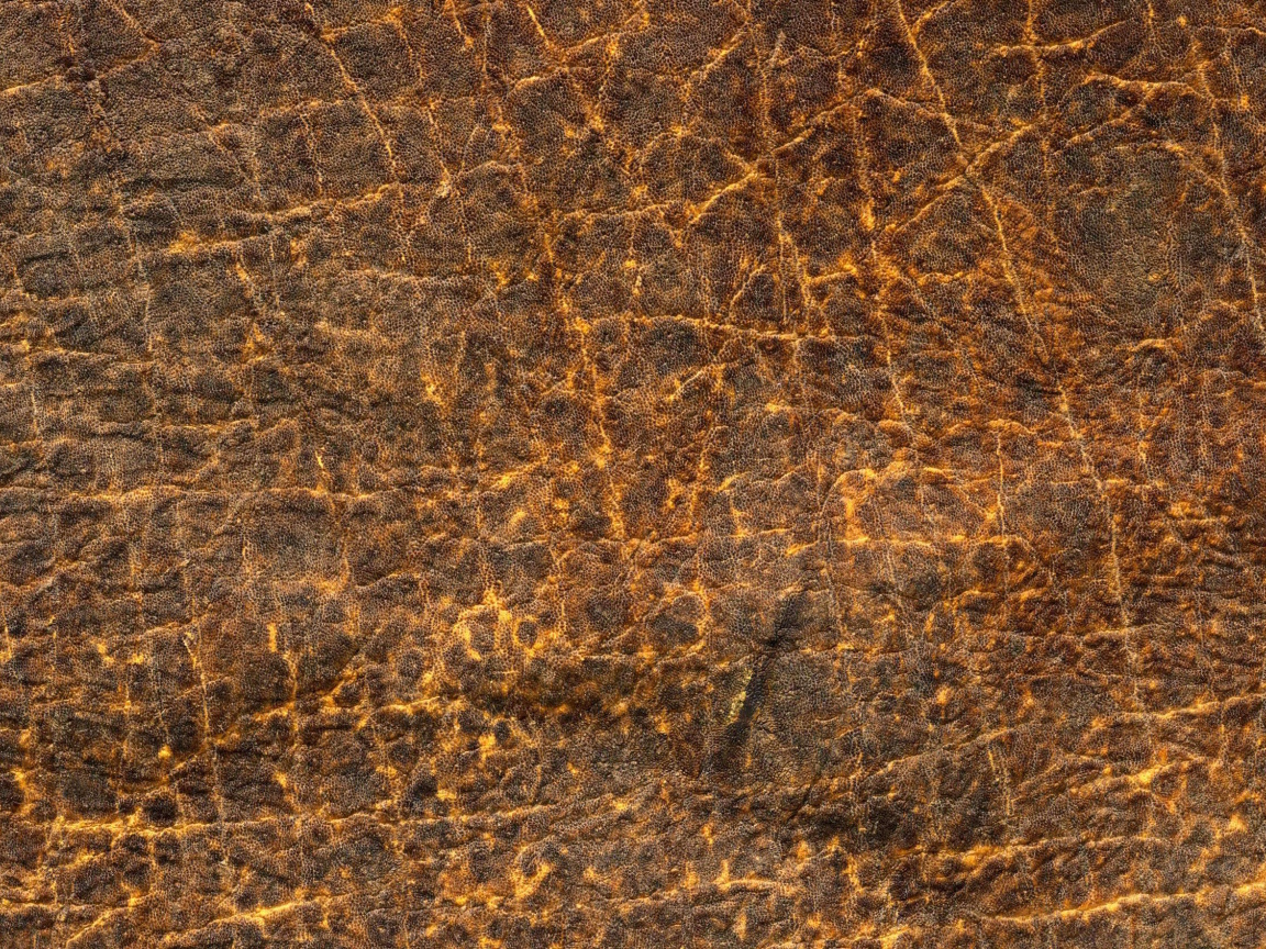 Кожа с прожилками