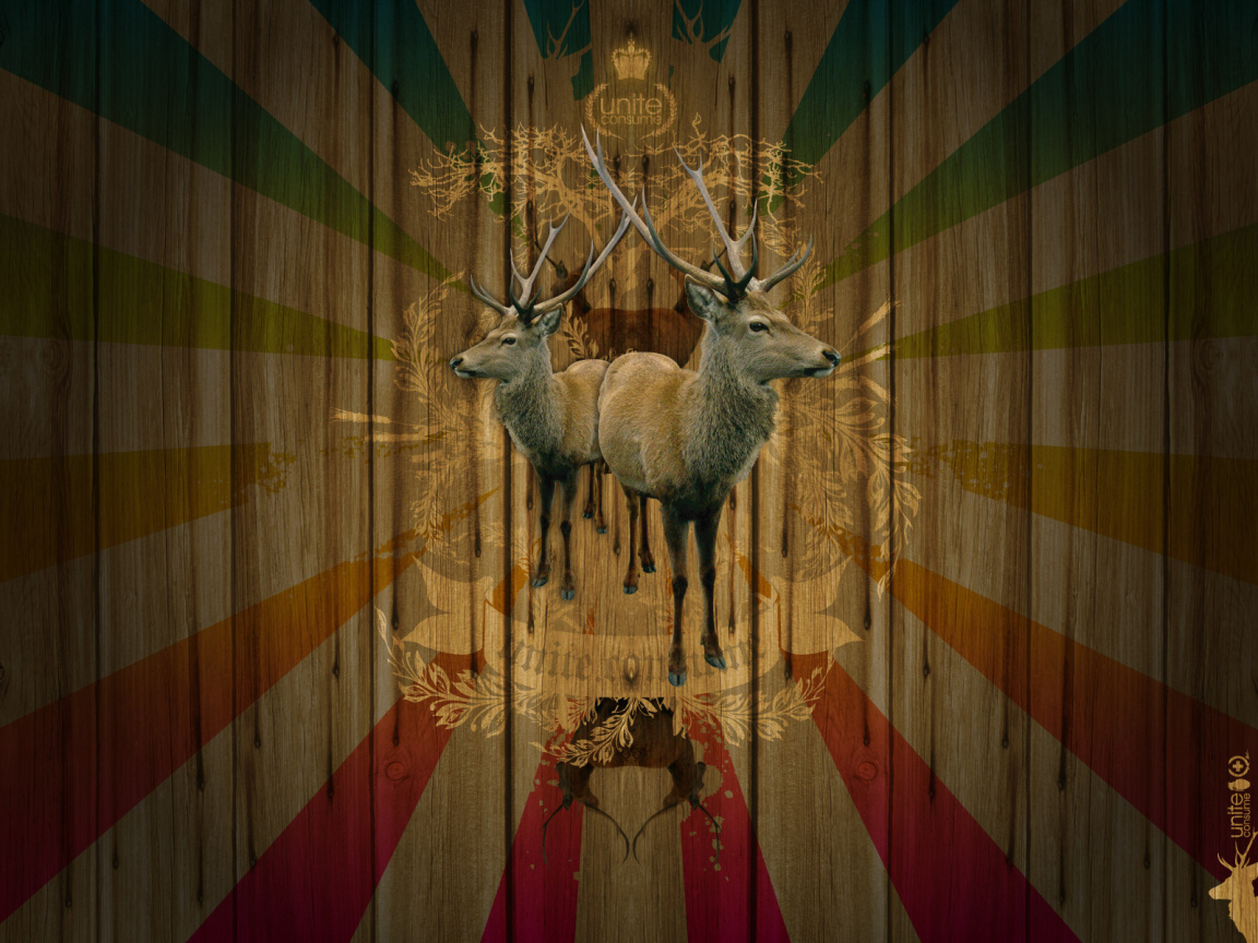 Объединение потребителей