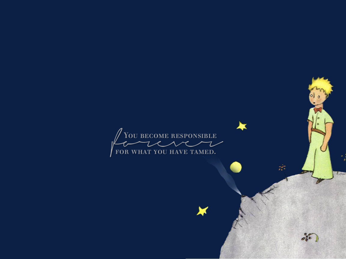 Маленький принц на планете