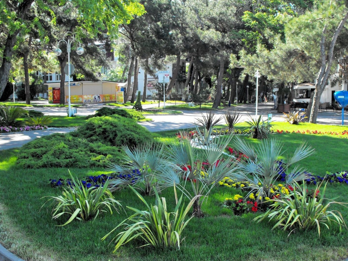 Клумба в городе