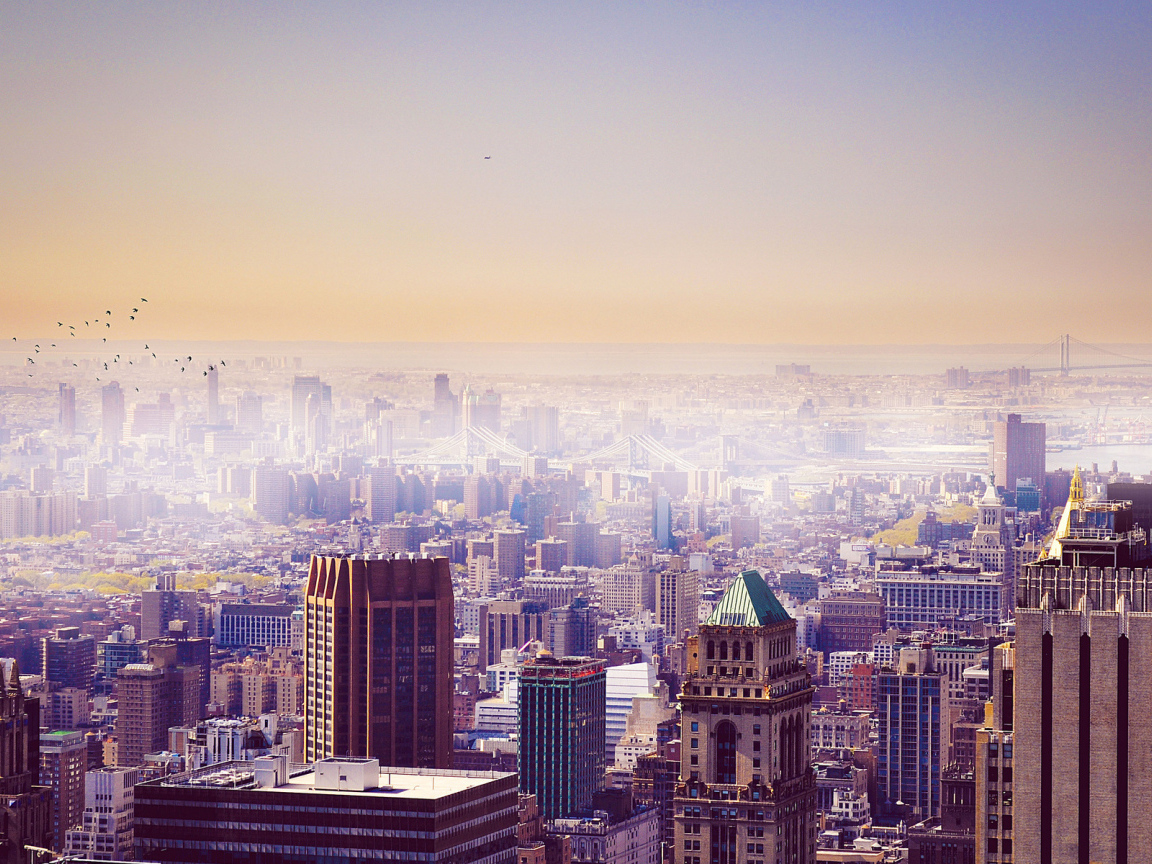 НьюЙорк в тумане