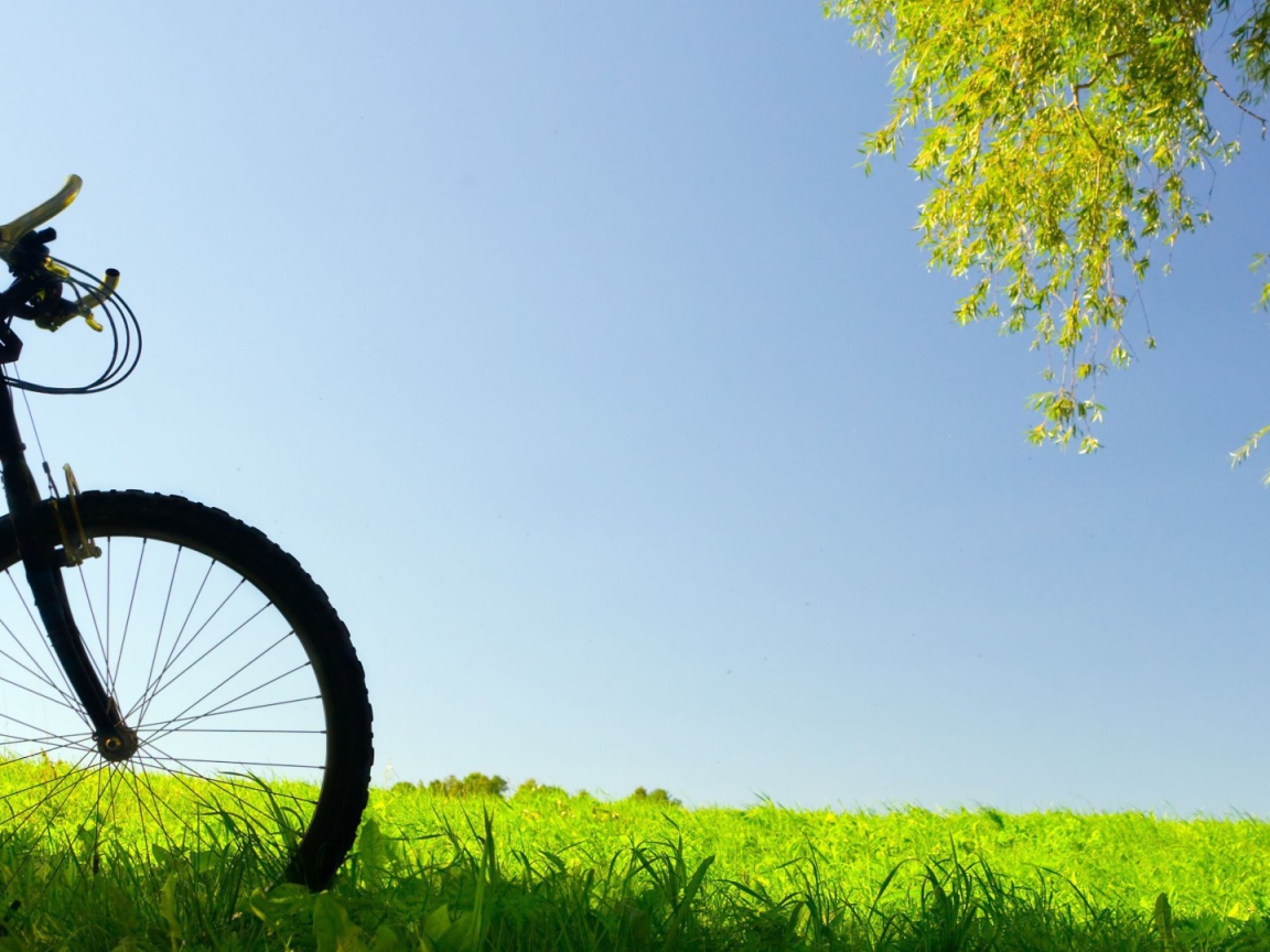 Велосипед в поле