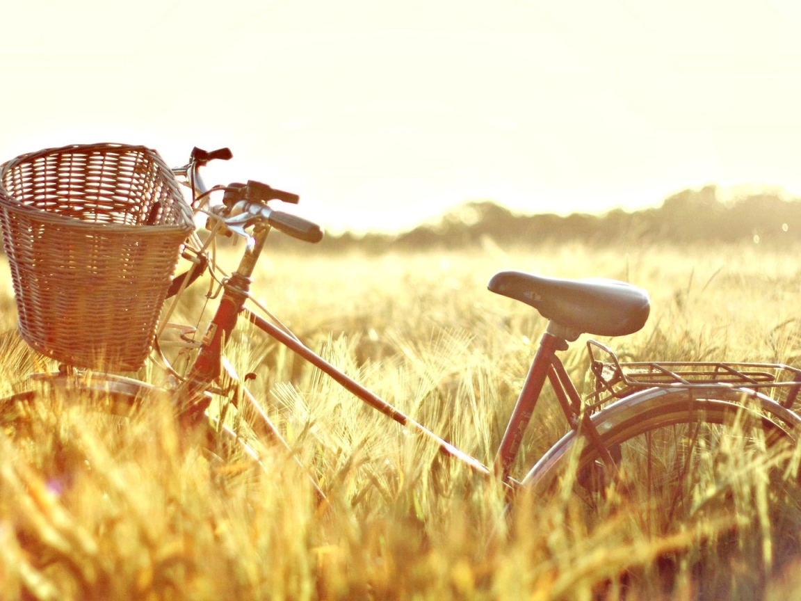 Велосипед в поле