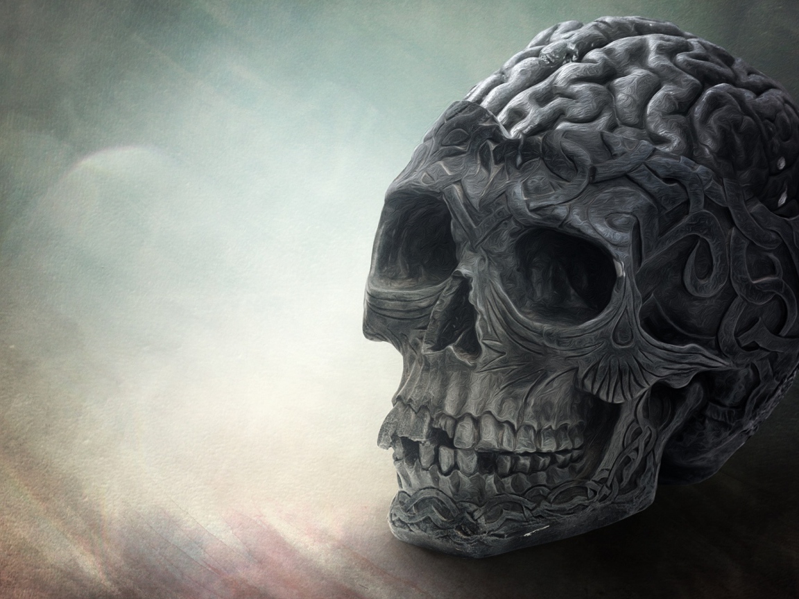 Мозг и череп