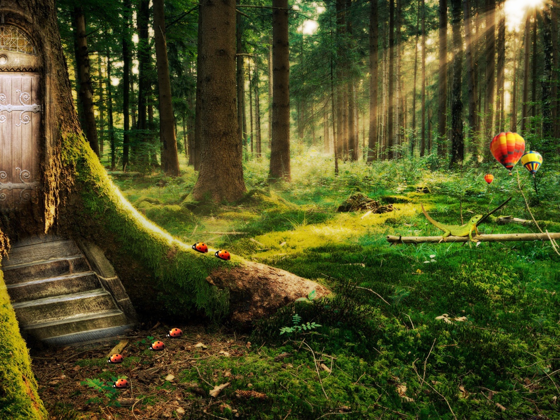 Заколдованный лес