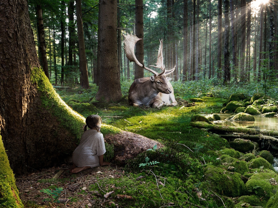 Сказка леса