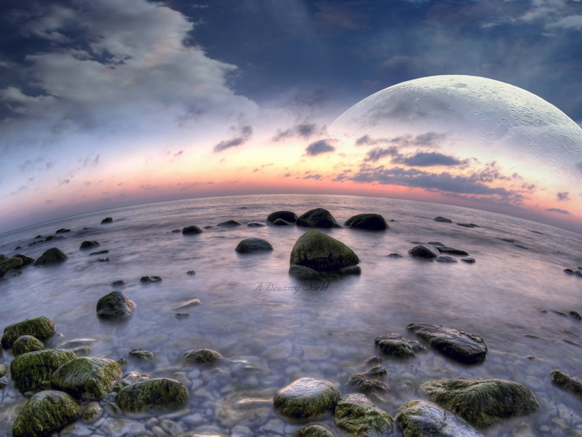 Рыбий пляж в выдуманном мире