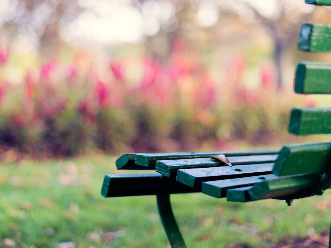 Зелёная скамейка на траве