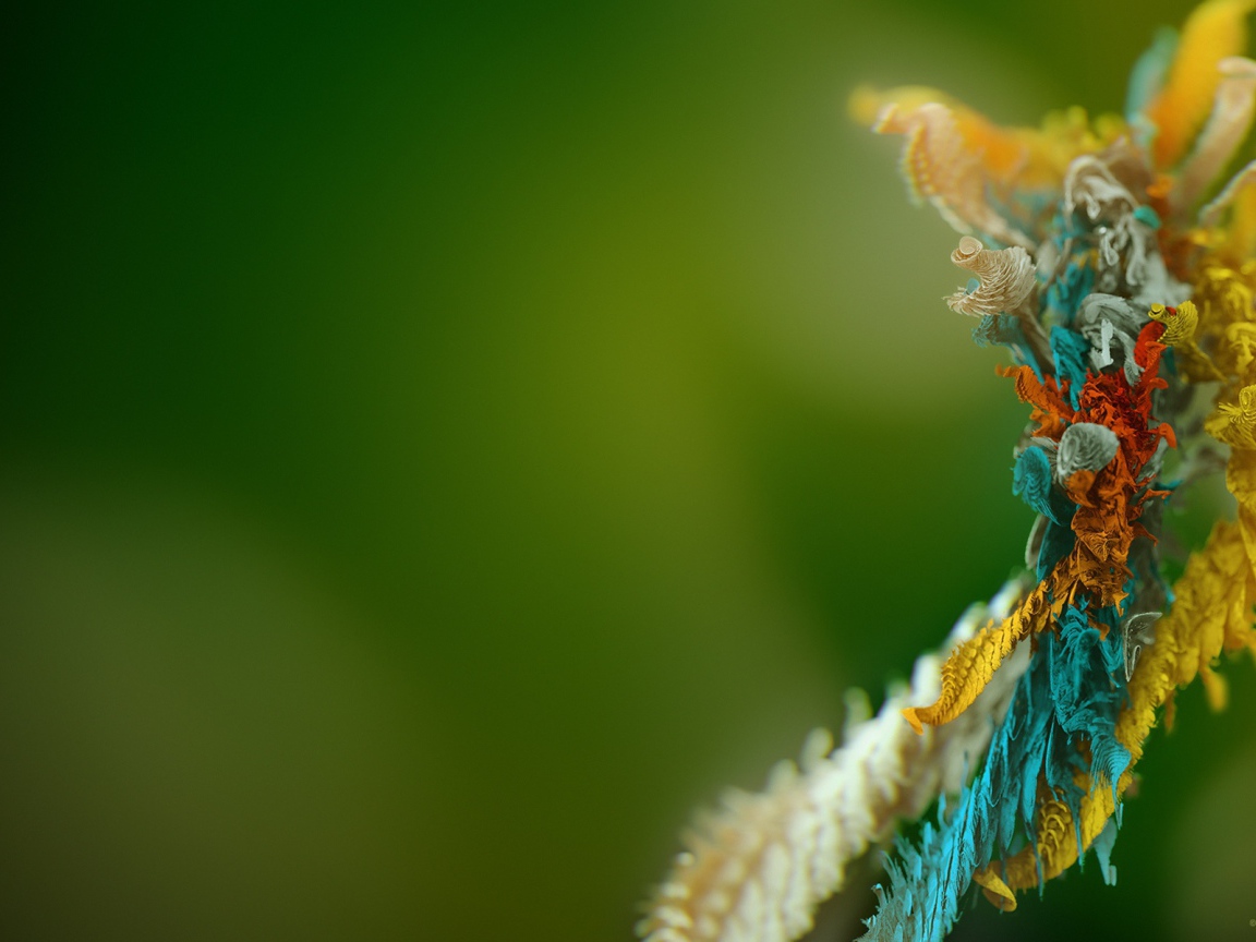 Микро объект 