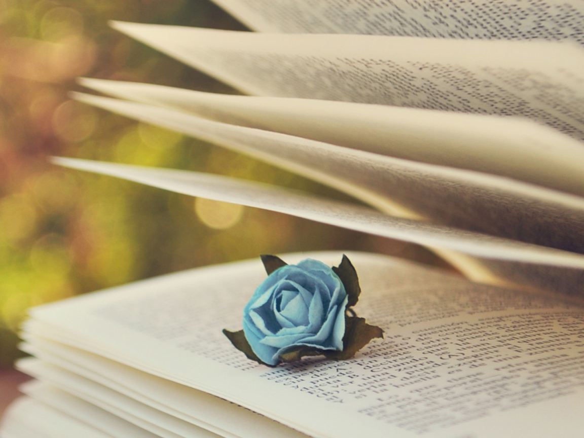 Роза в книге