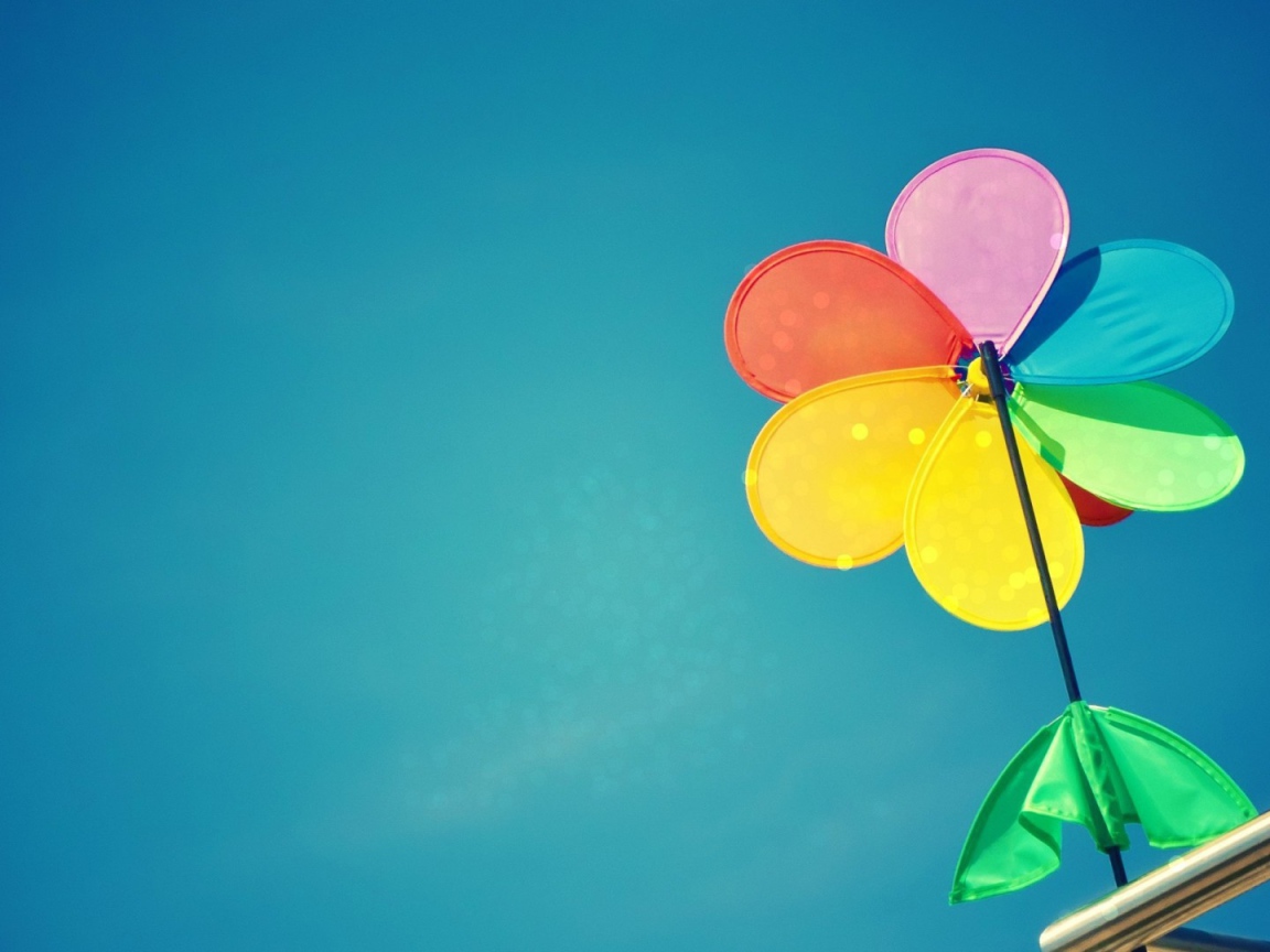 Cемицветик с листом