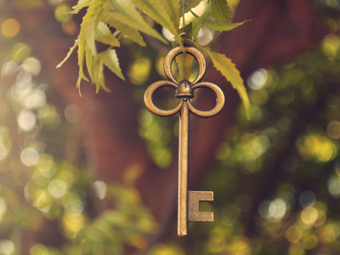 Ключ висит на ветке