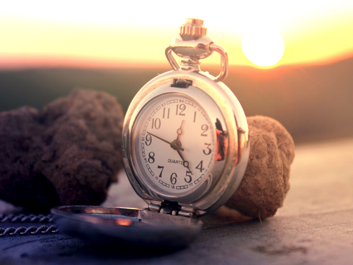 Трюфели и часы