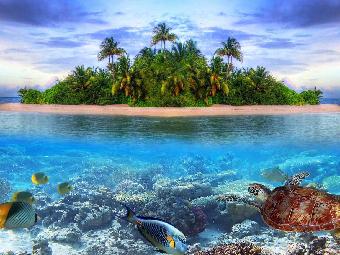 Подводный мир на острове