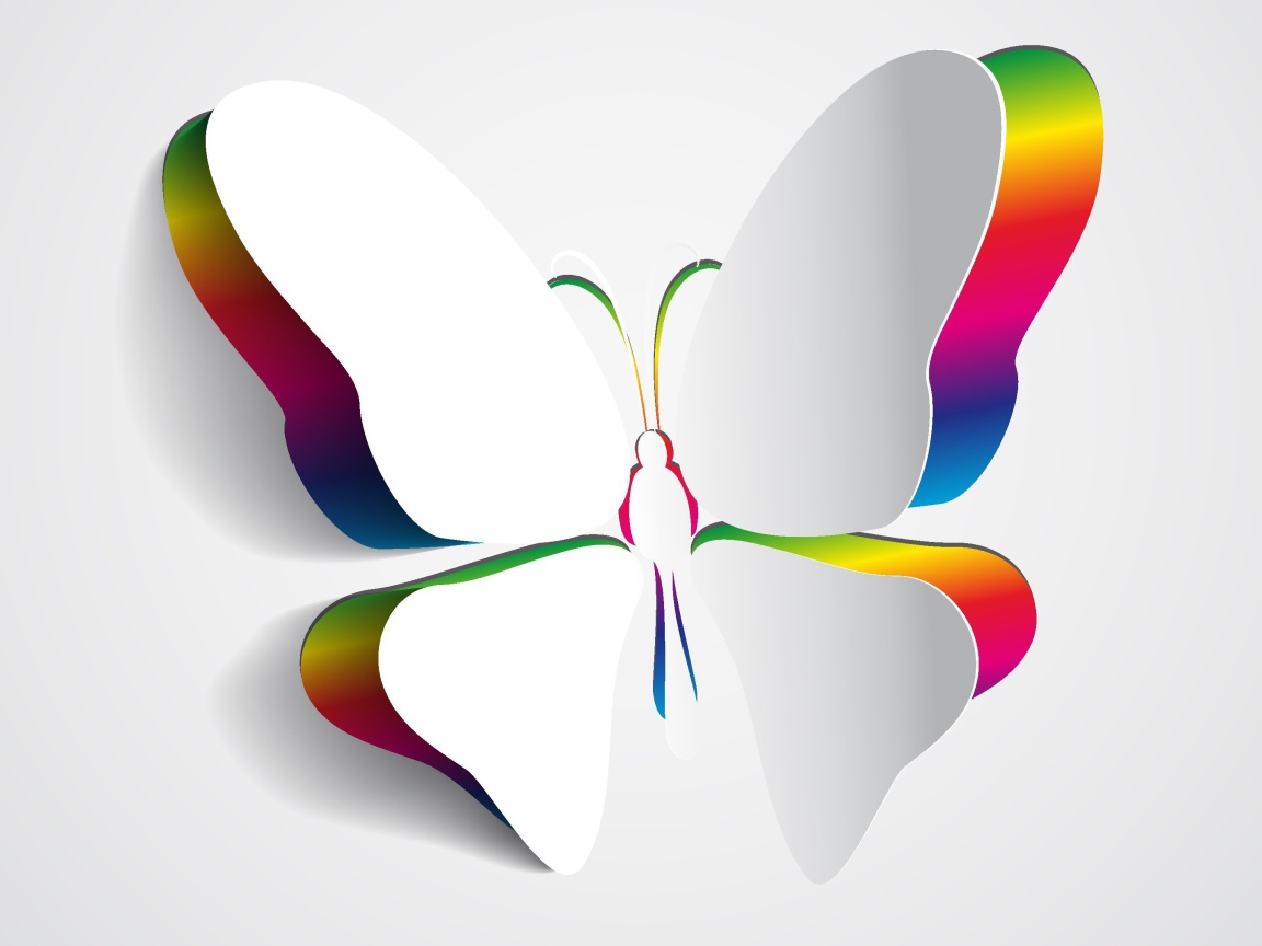 Крылья белой бабочки