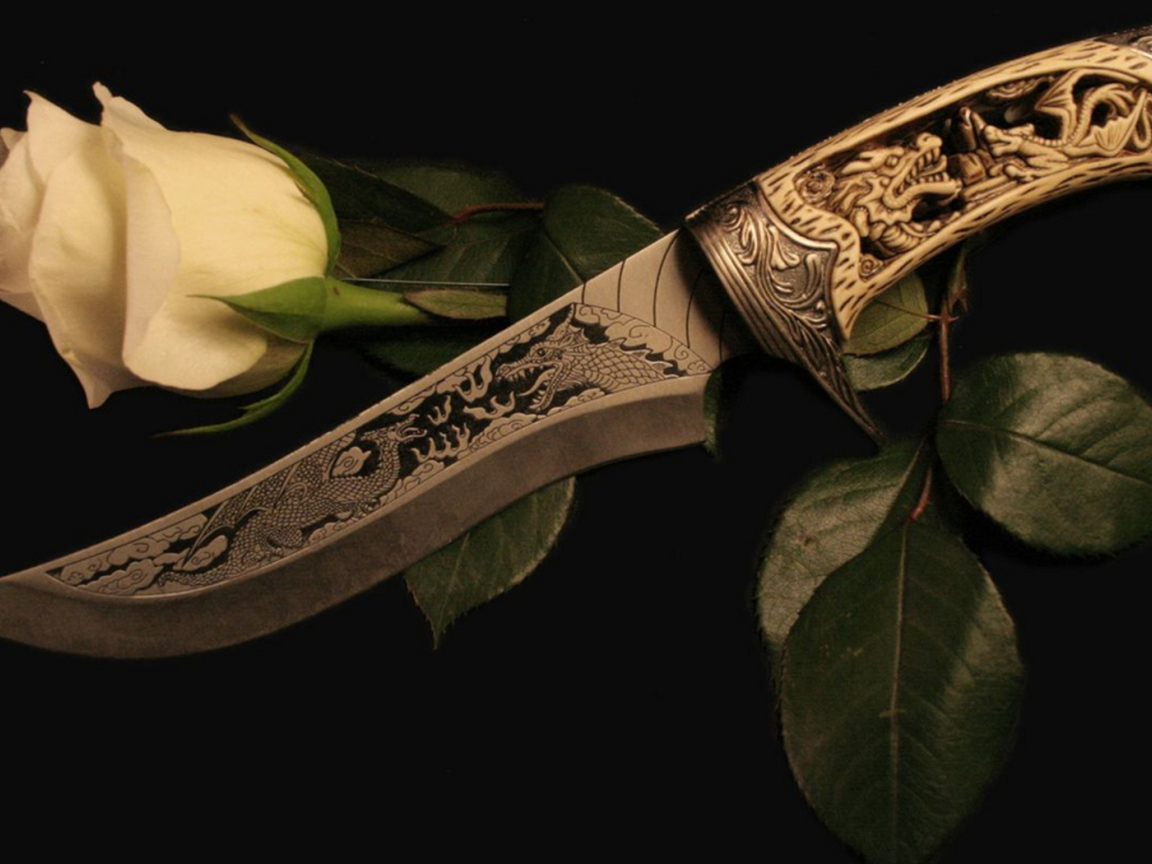 Белая роза и кинжал