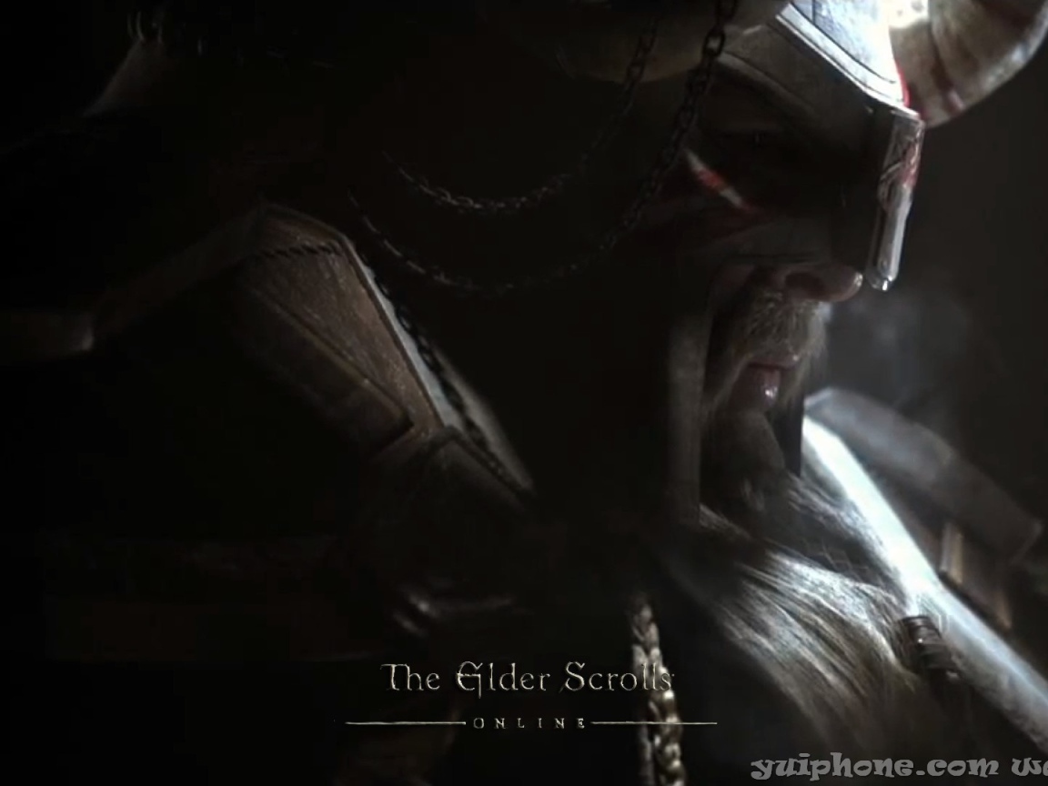 Закаленный в боях викинг