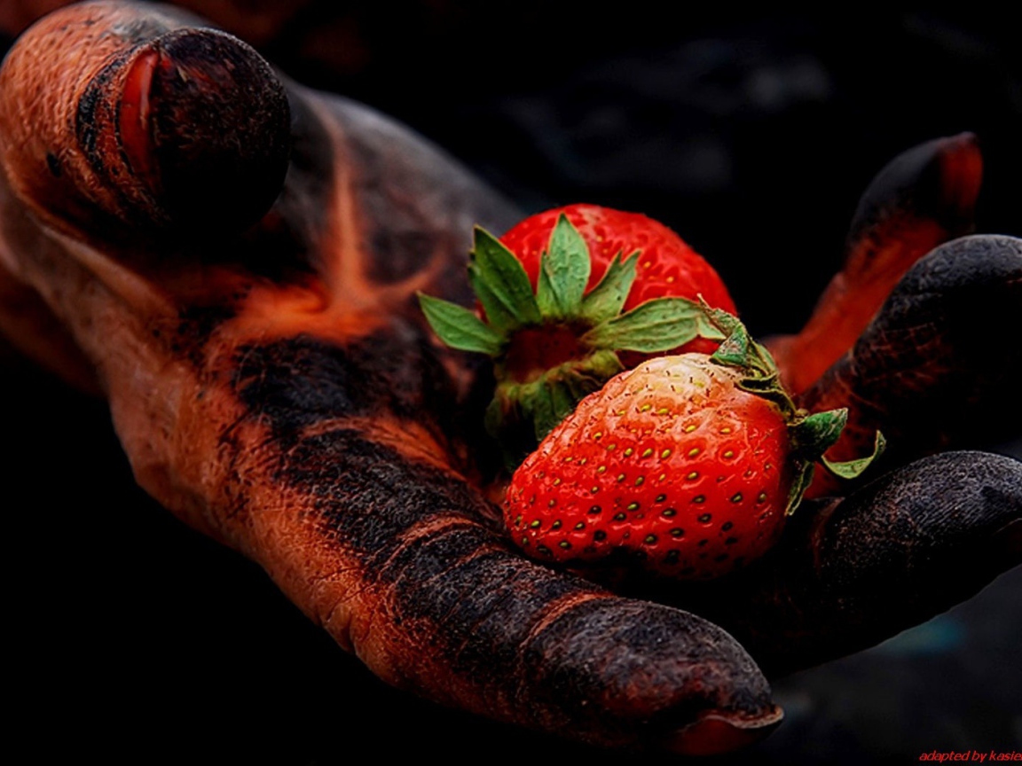 Strawberries in the black hand