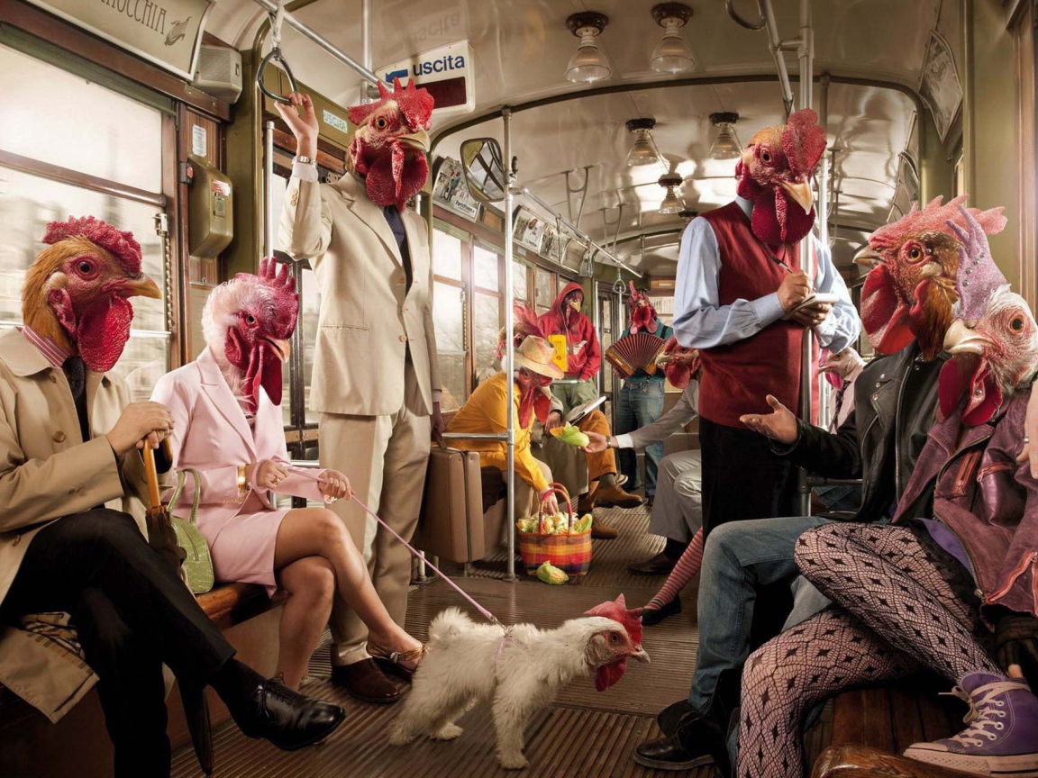 Поездка в курятнике