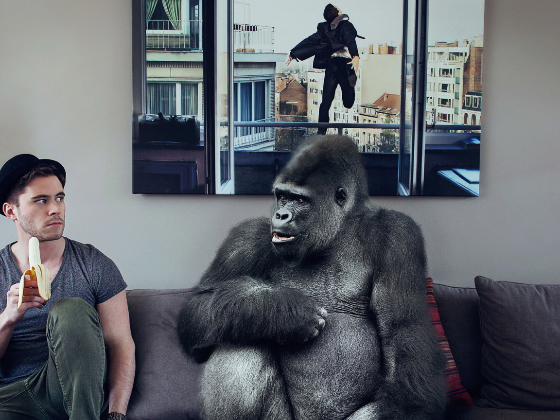 Обезьяна хочет банан