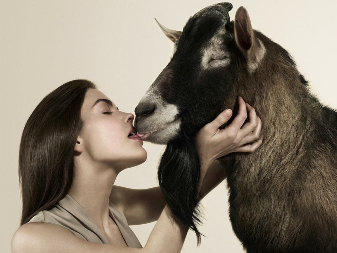 Любовь зла, полюбишь и козла