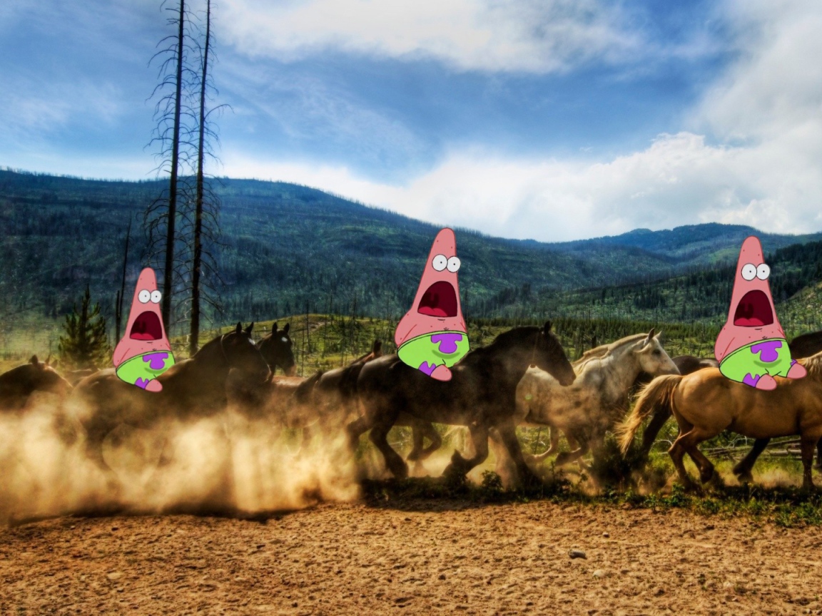 Патрик на лошадях