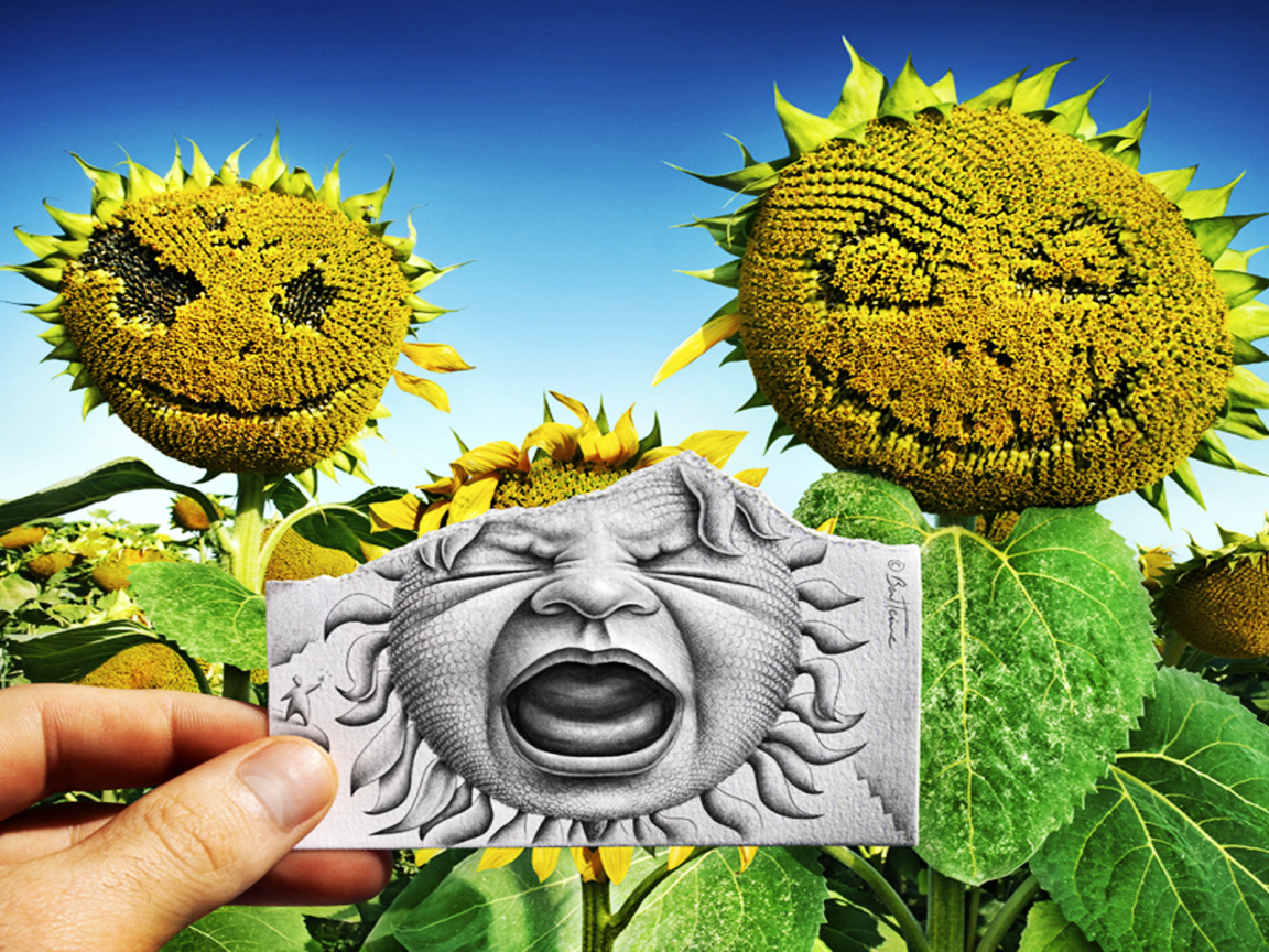 Лицо на подсолнухе