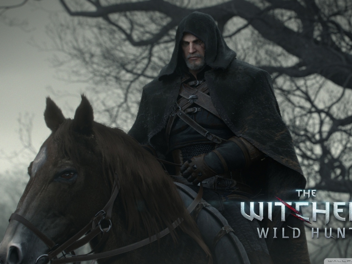 Всадник из игры Ведьмак