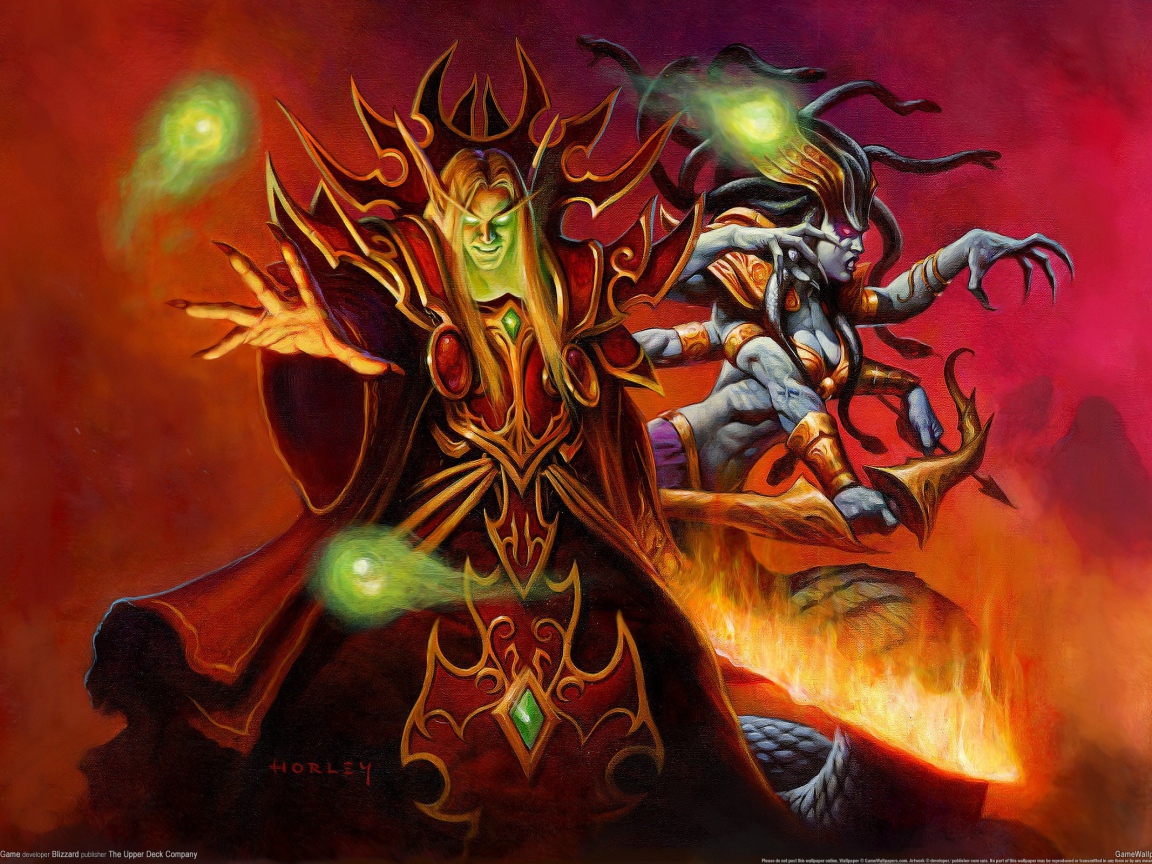 Колдун из видео игры