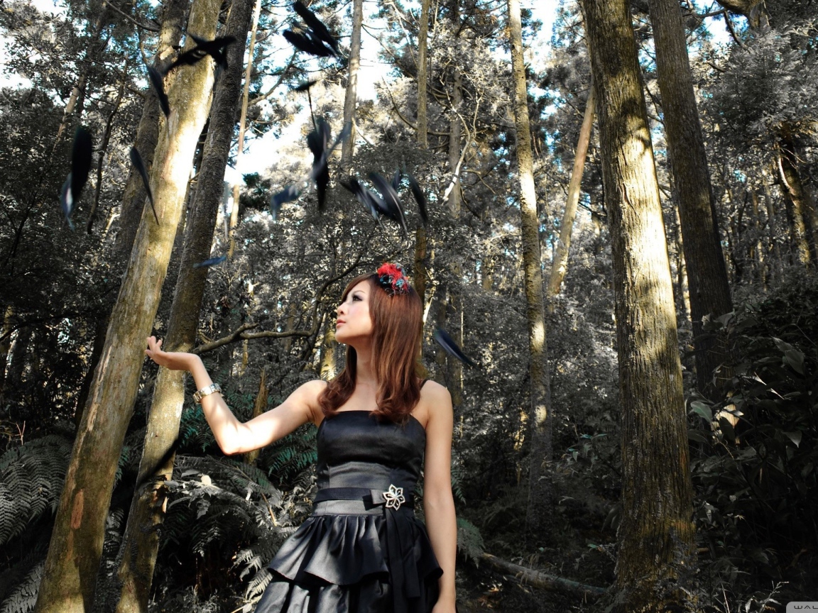 Девушка и черные перья