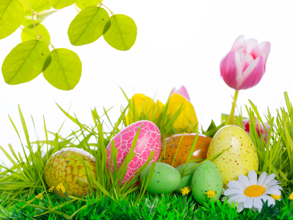 Весенняя зелень на Пасху