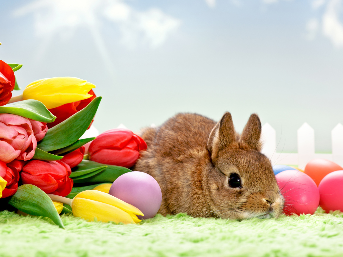 Букет тюльпанов и кролик на Пасху