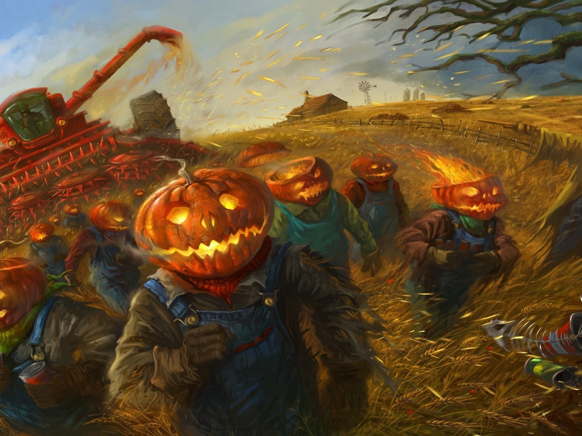 Тыквы убирают урожай