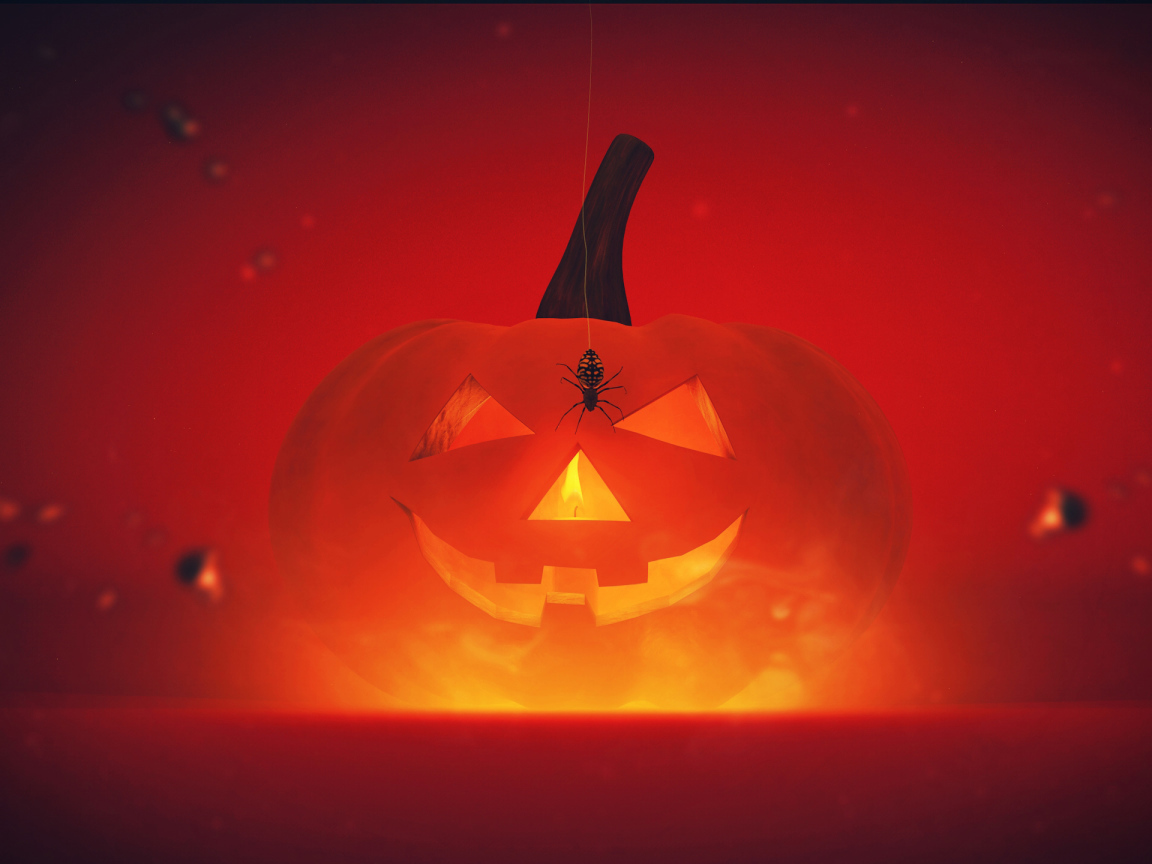 Паук на тыкве