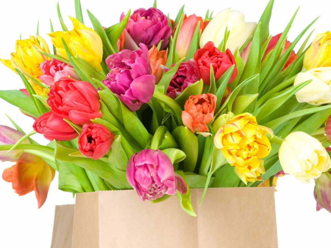Красивый букет тюльпанов на восьмое марта