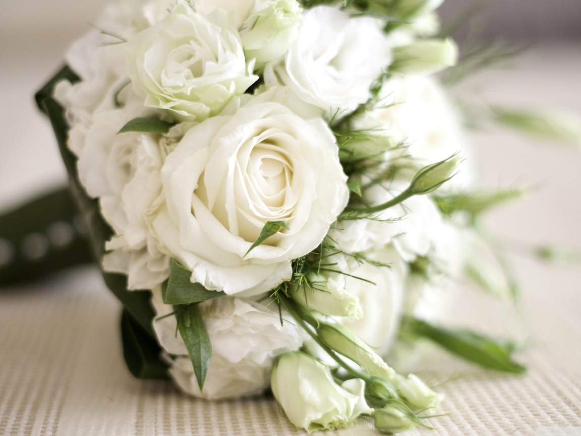 Красивые белые розы в подарок женщинам на восьмое марта