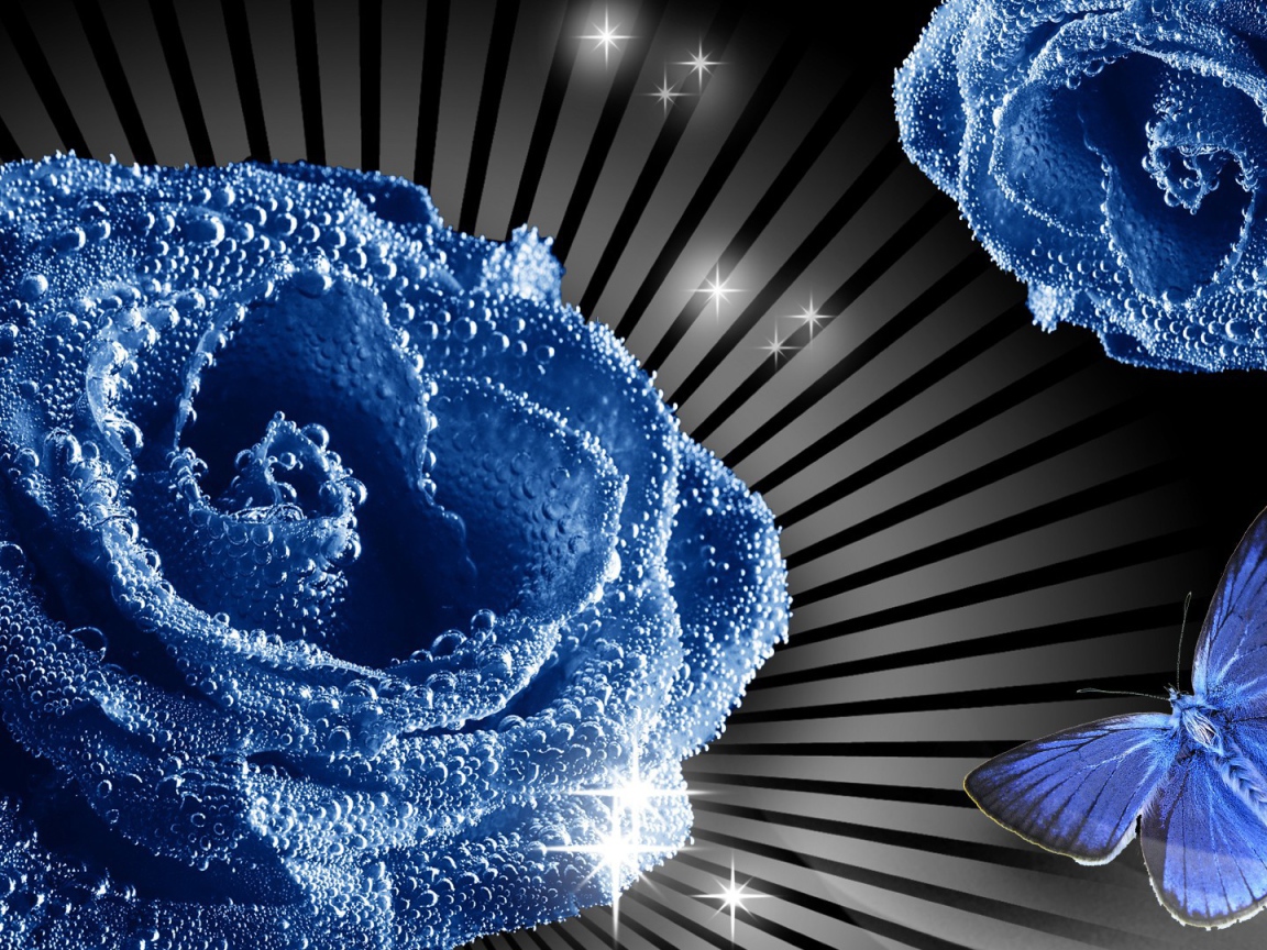 Синие роза и бабочка, картинка на восьмое марта